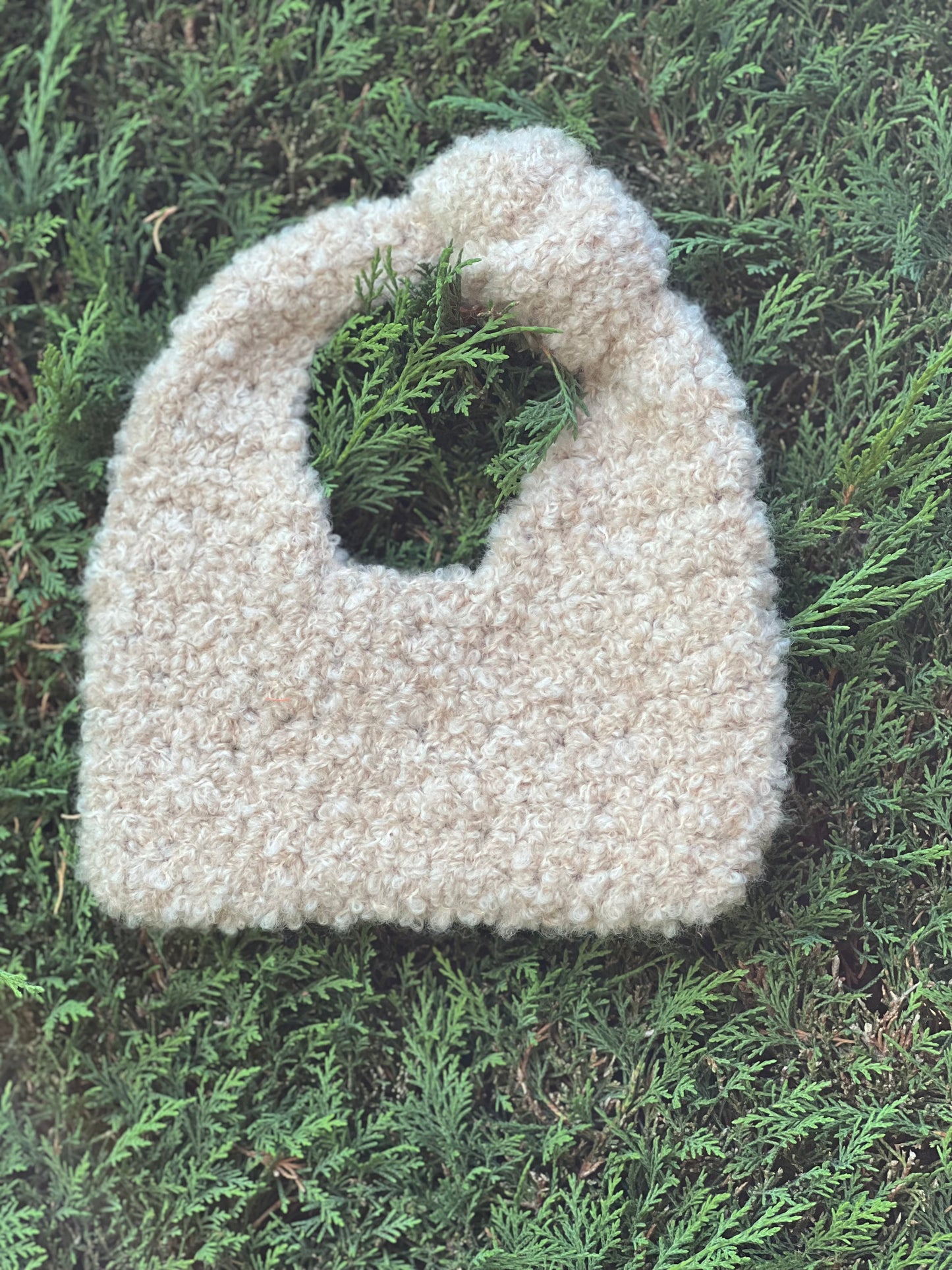 Bag Not new